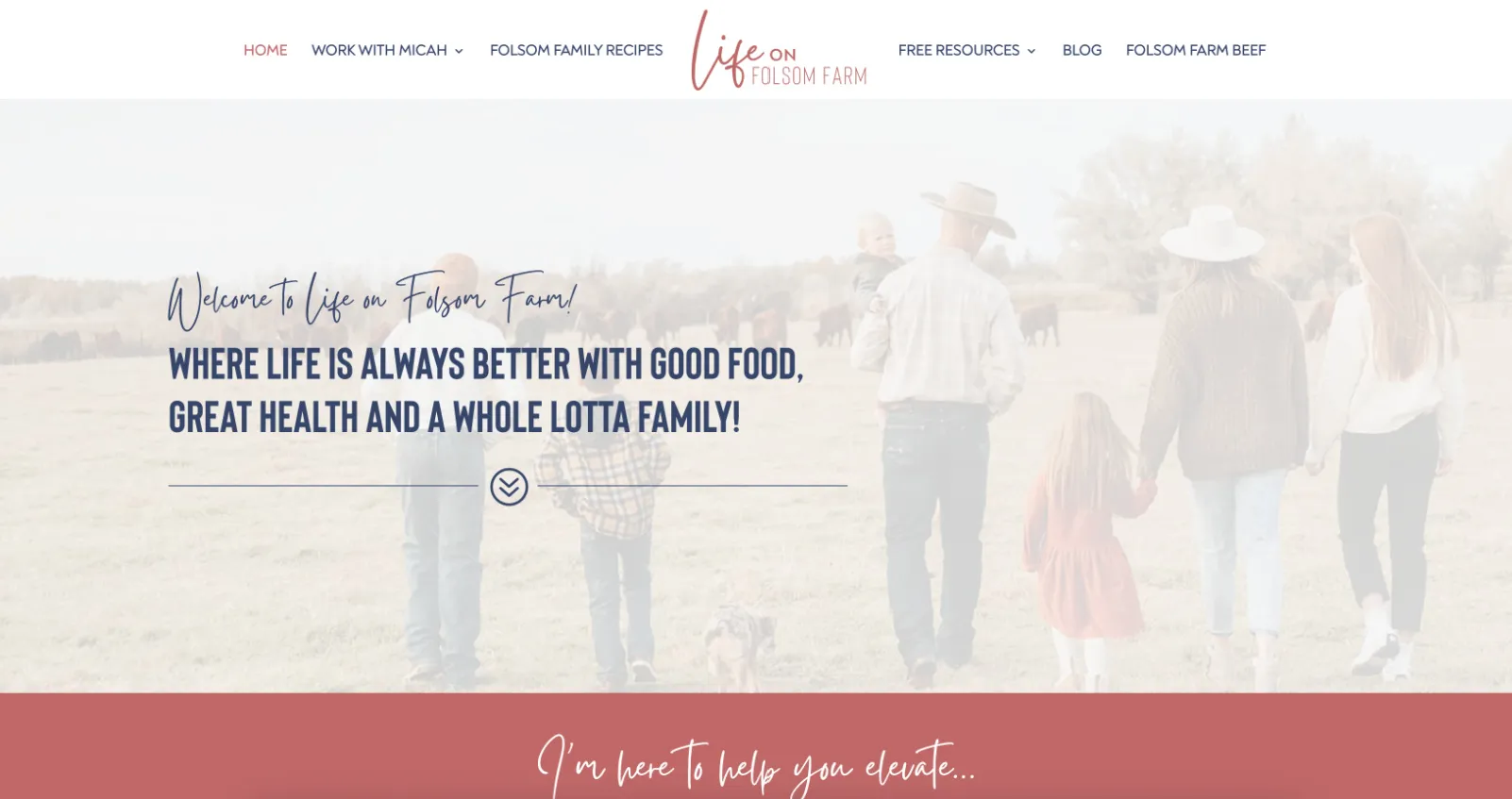 Micah Folsom Fit website