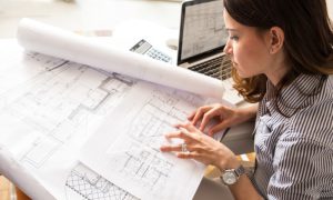 blueprint wordpress starter kit